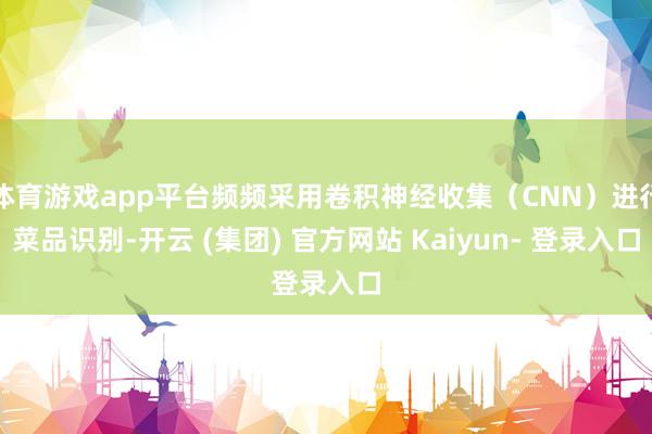 体育游戏app平台频频采用卷积神经收集（CNN）进行菜品识别-开云 (集团) 官方网站 Kaiyun- 登录入口