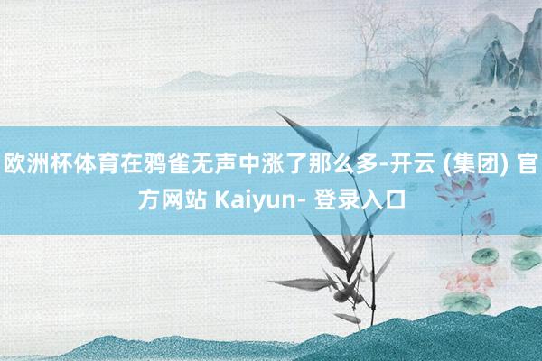 欧洲杯体育在鸦雀无声中涨了那么多-开云 (集团) 官方网站 Kaiyun- 登录入口